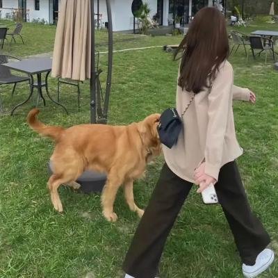 如纸人生